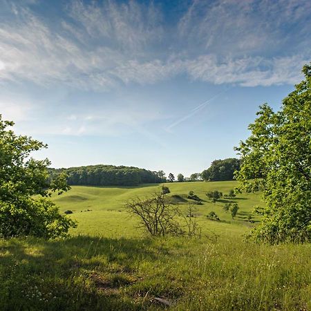 Nengshof Ferienhaus Gaensebluemchen Wißmannsdorf Kültér fotó